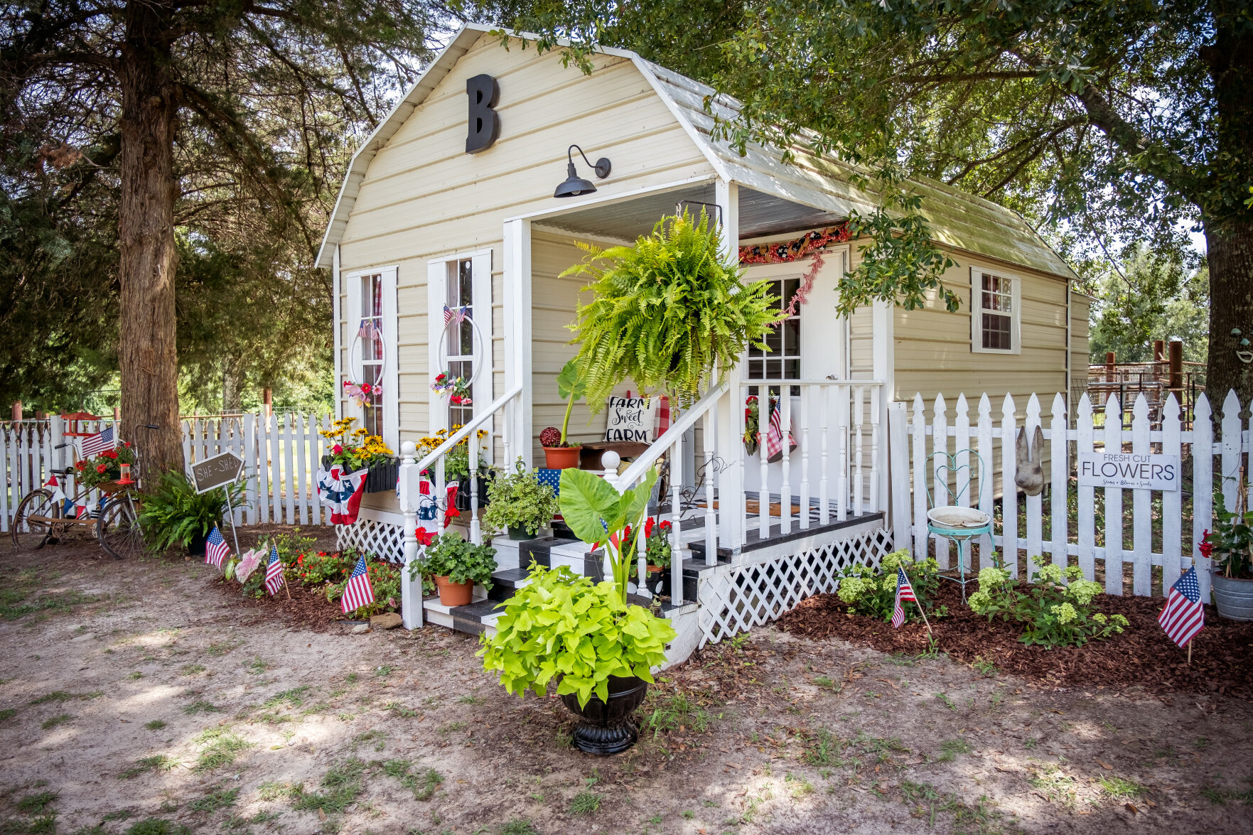 Susan Boyd's She Shed